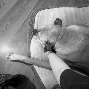 Meet your Posher, Isabella